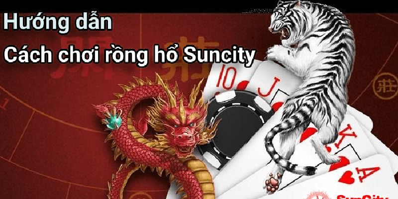 Hướng dẫn cách chơi Rồng Hổ Suncity